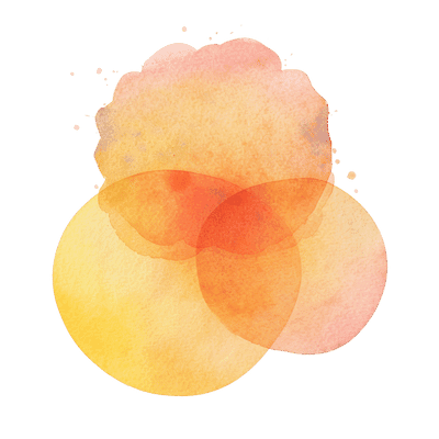 Seed Raise & Fee Share